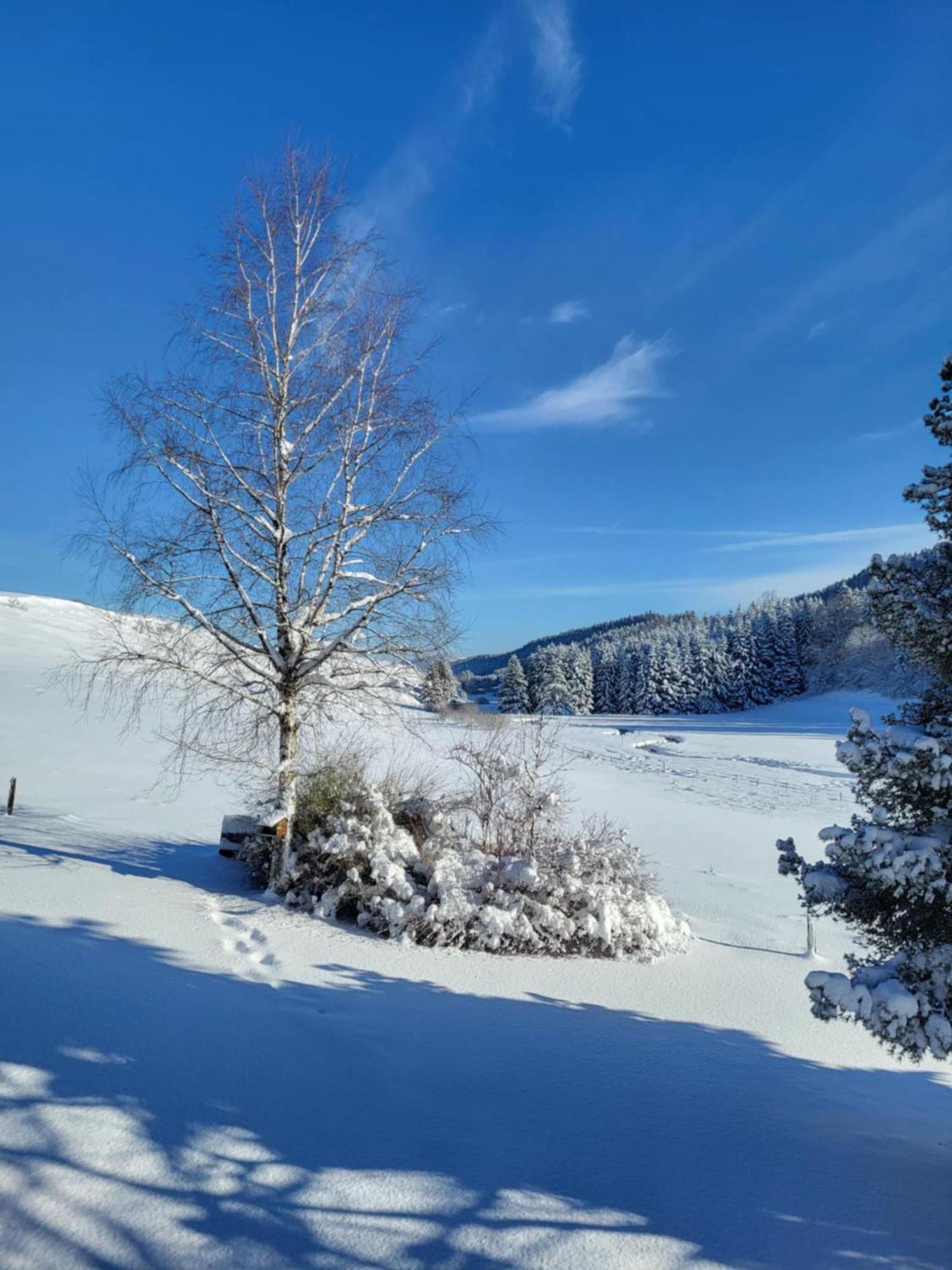 Hotel Auberge Du Grand Git La Chaux Neuve Esterno foto